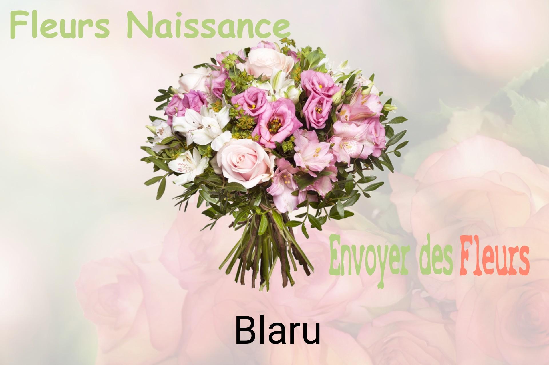 Bouquet de fleurs de naissance livré à Blaru